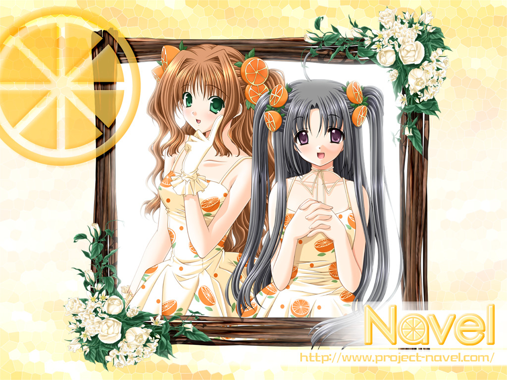 citrus-nepon-x-rai-ponmineola-nepon-x-rai-pon