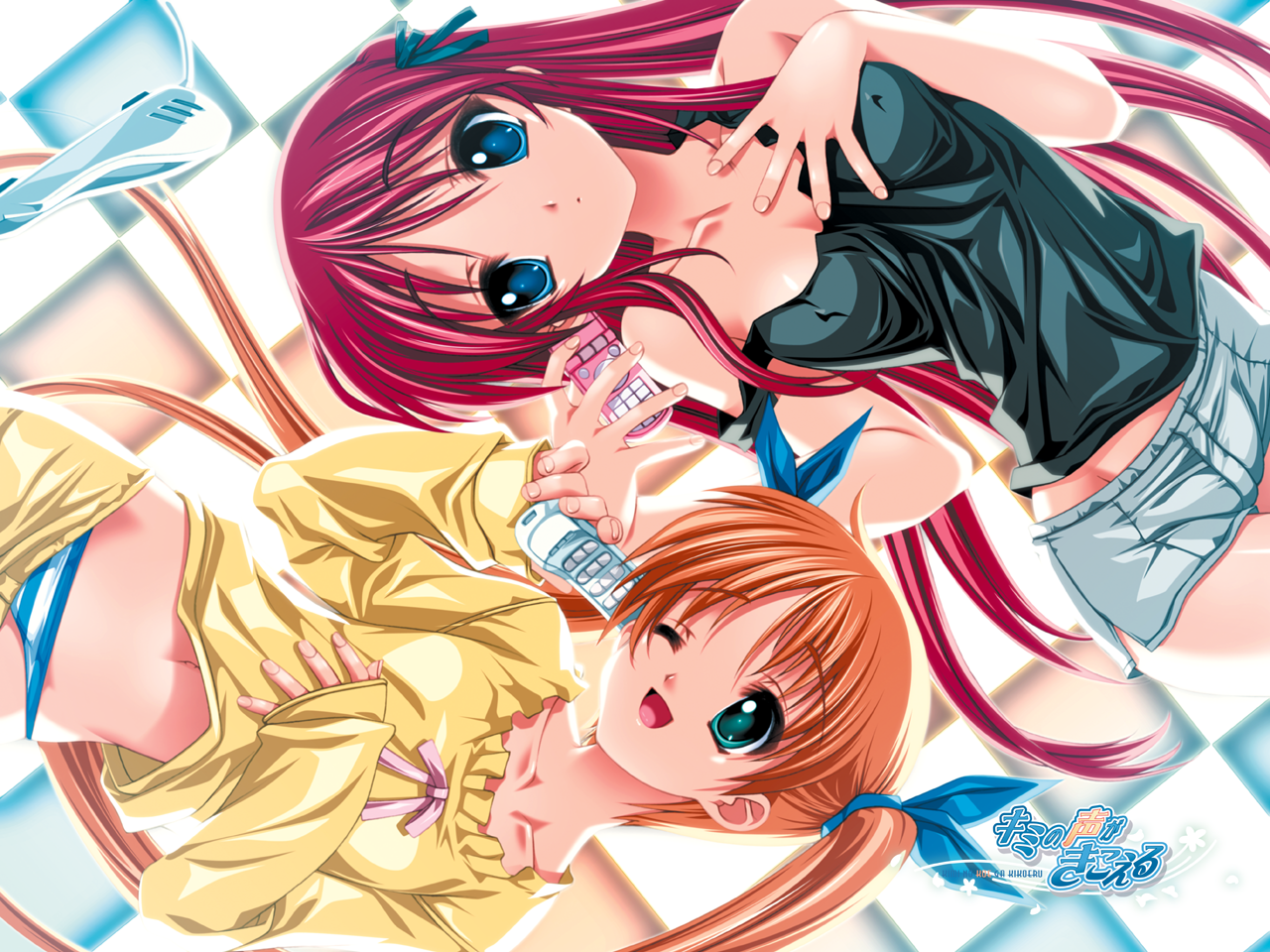 iizuka-miyukishikishima-sakura