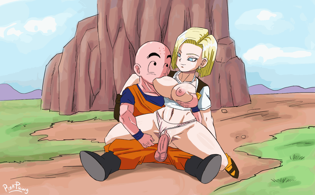 android-18krillin