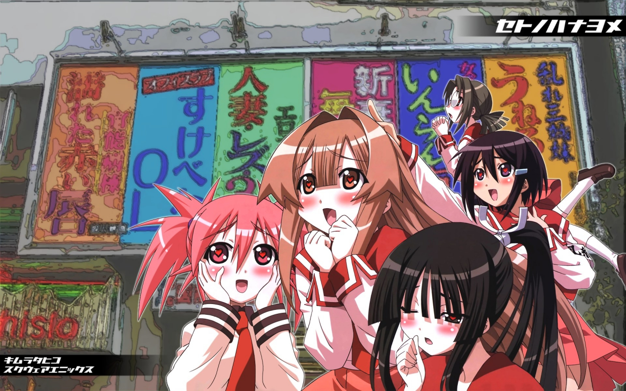 edomae-lunarseto-sanshiranui-akenozenigata-mawari