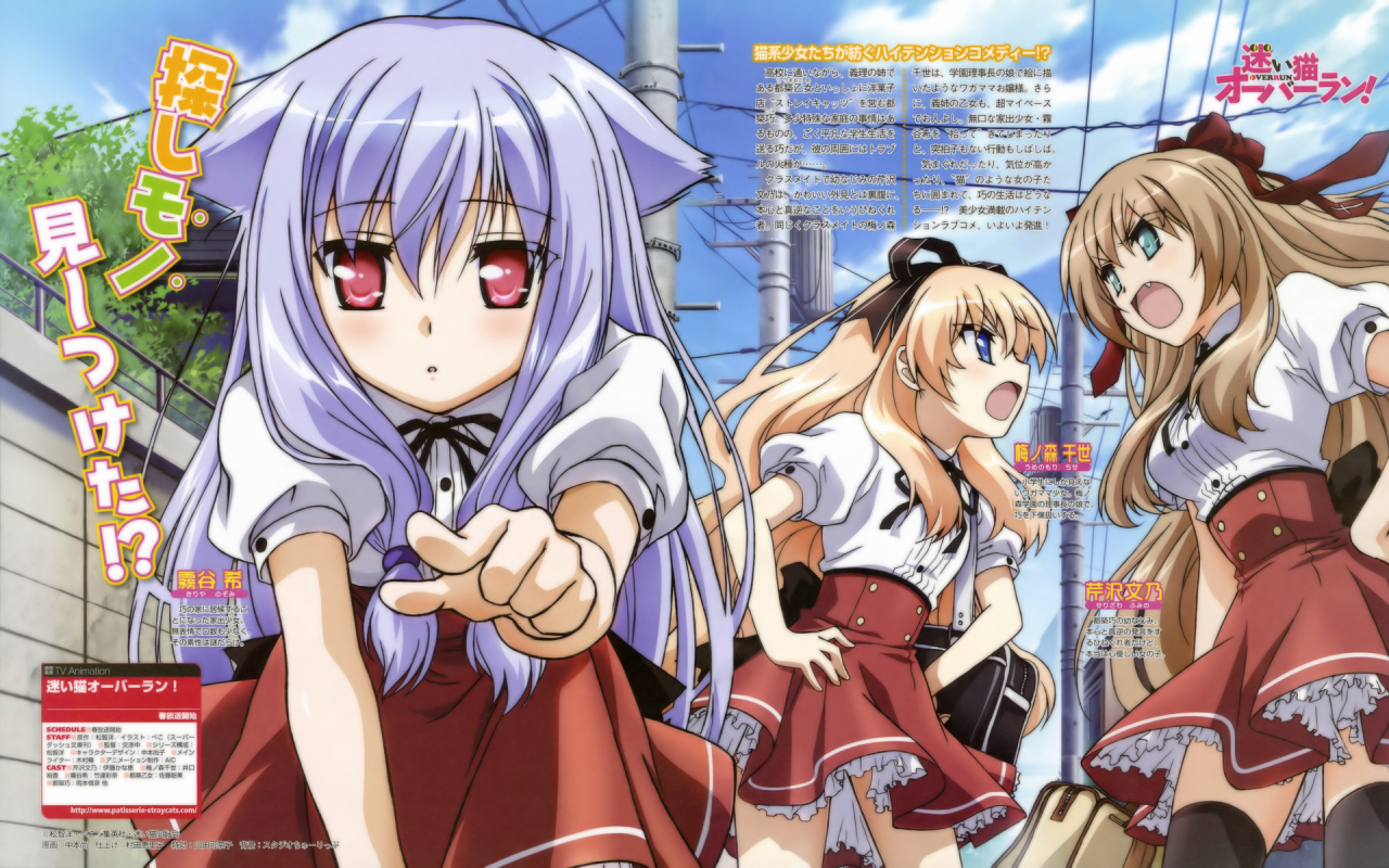 kiriya-nozomiserizawa-fuminoumenomori-chise