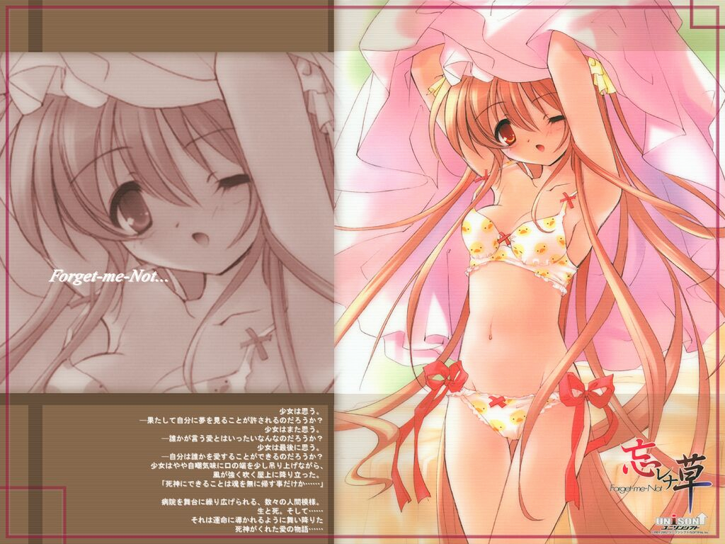 asahina-kasumikasumi-doakasumi-forgetmenot