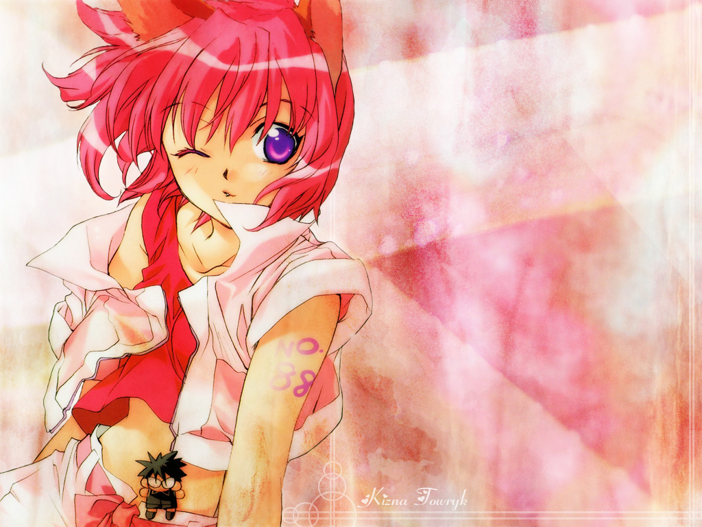 kizna-towrykzero-enna