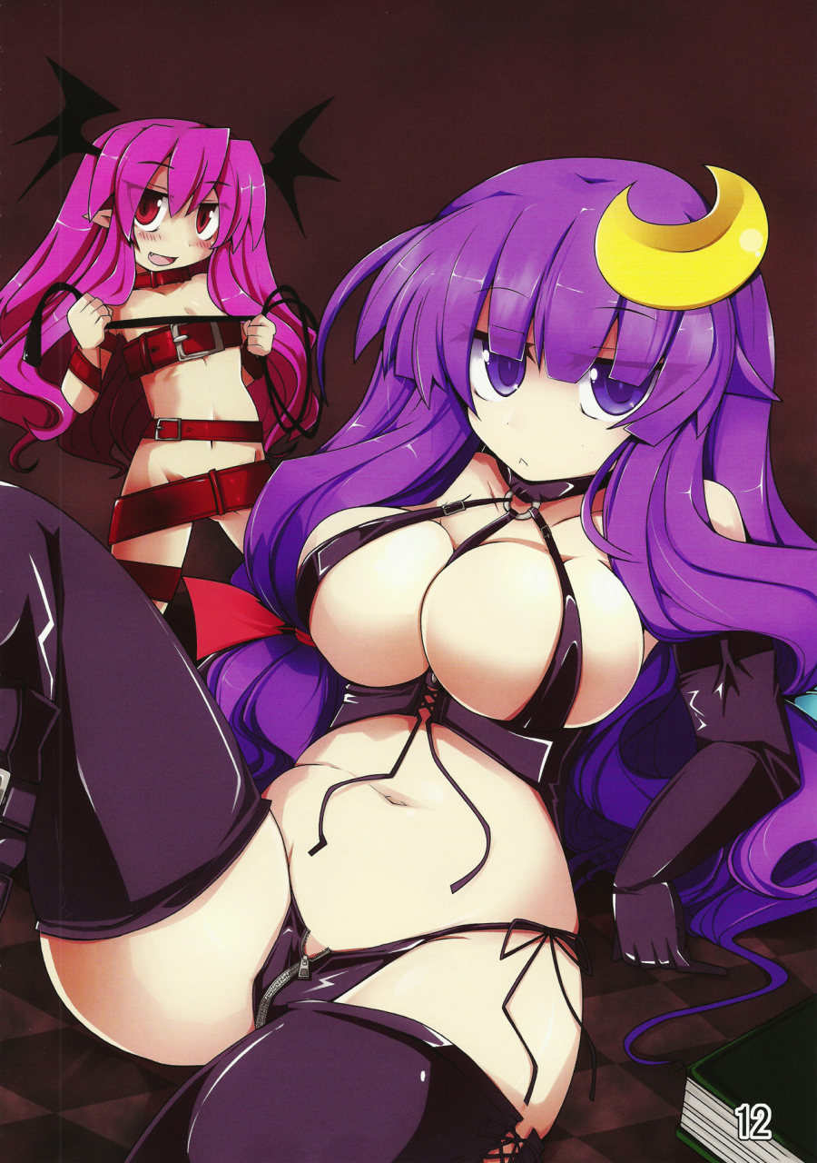 koakumapatchouli-knowledge