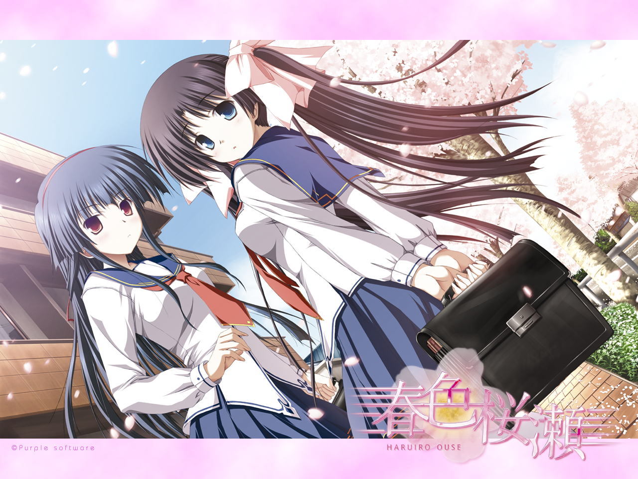 aizawa-nadeshikosakuragi-konoha