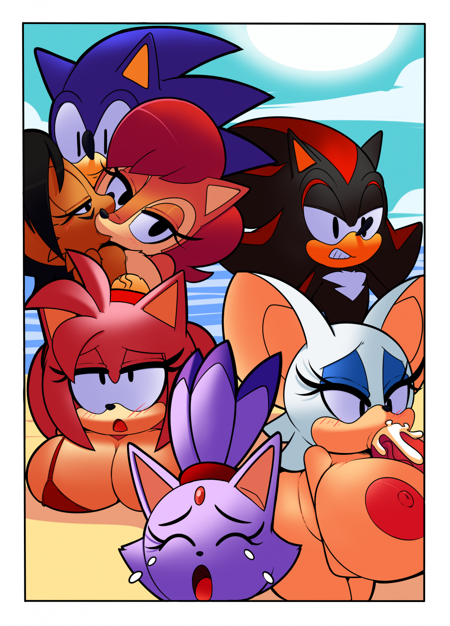 amy-roseblaze-the-catknuckles-the-echidnanicole-the-lynxrouge-the-batsally-acornshadow-the-hedgehogsonic-the-hedgehog