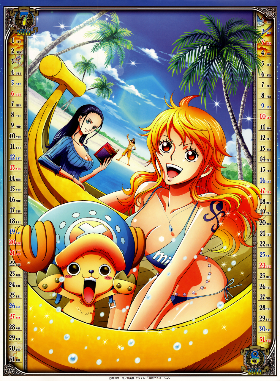 nami-one-piecenico-robintony-tony-chopperusopp