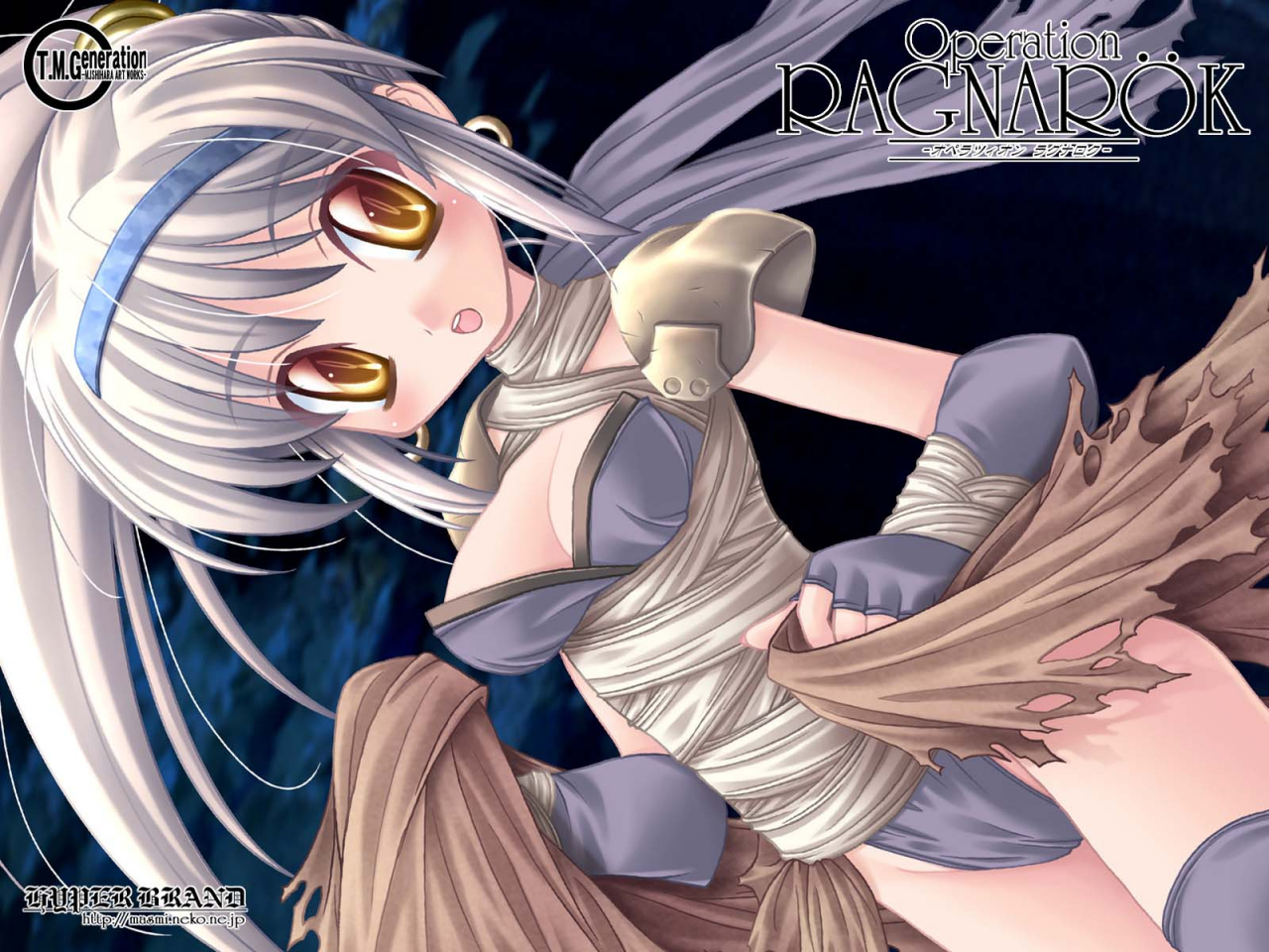 assassin-ragnarok-online