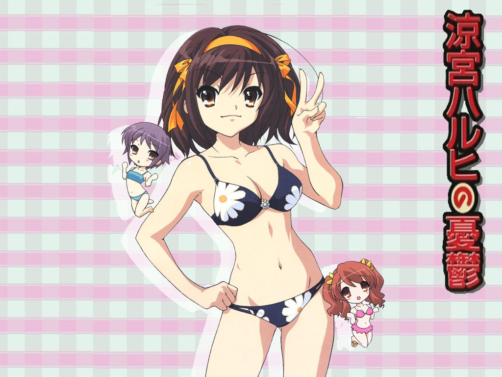 asahina-mikurunagato-yukisuzumiya-haruhi