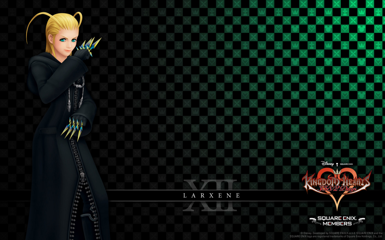 larxeneorganization-xiii