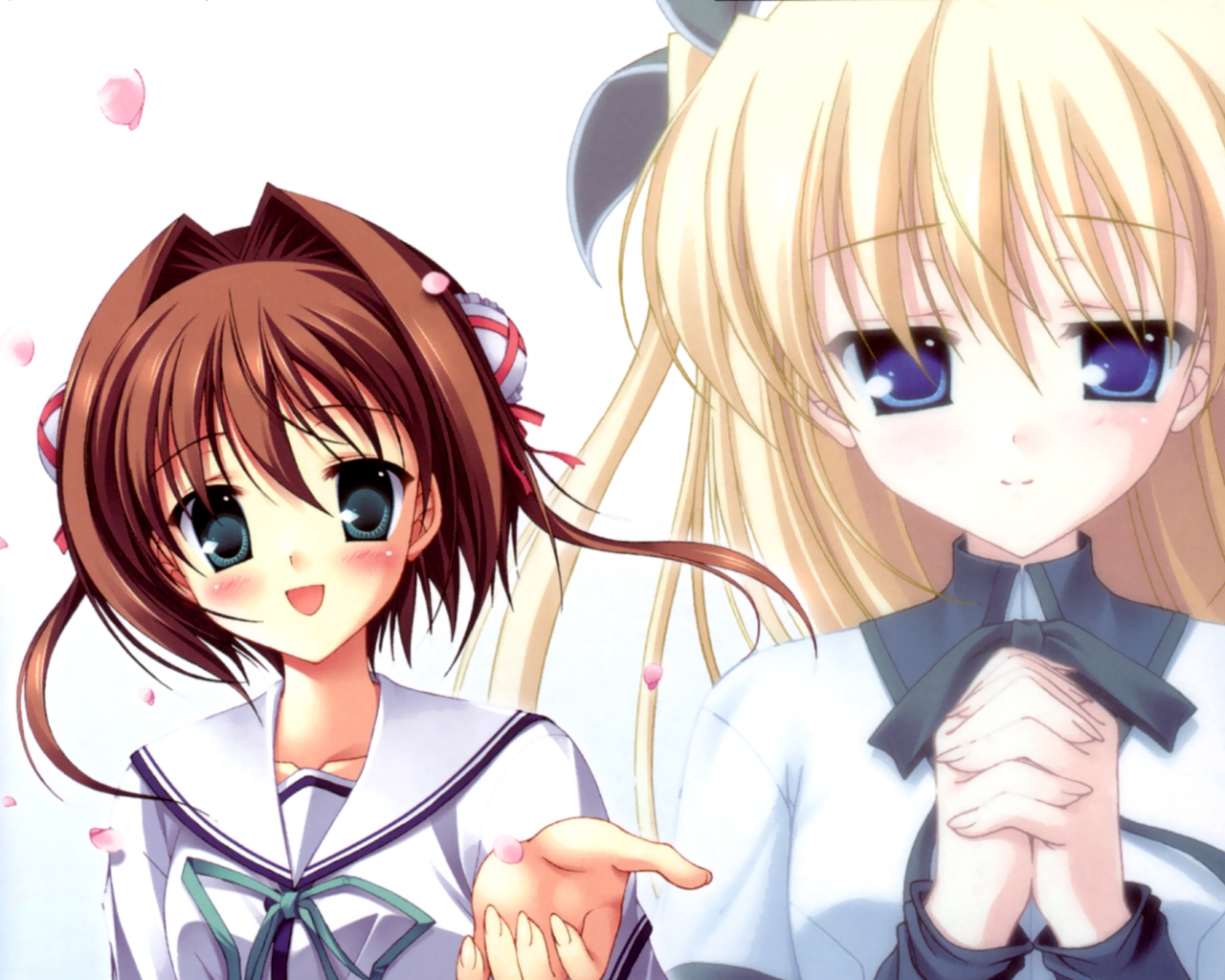 asakura-nemuyoshino-sakura