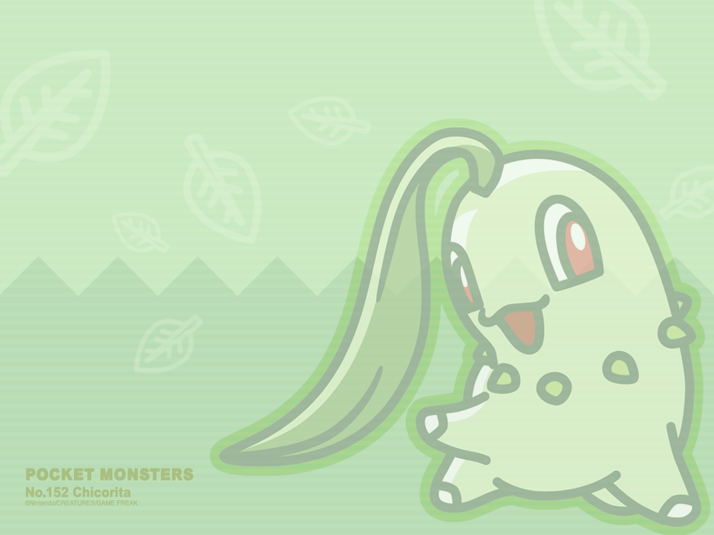 chikorita