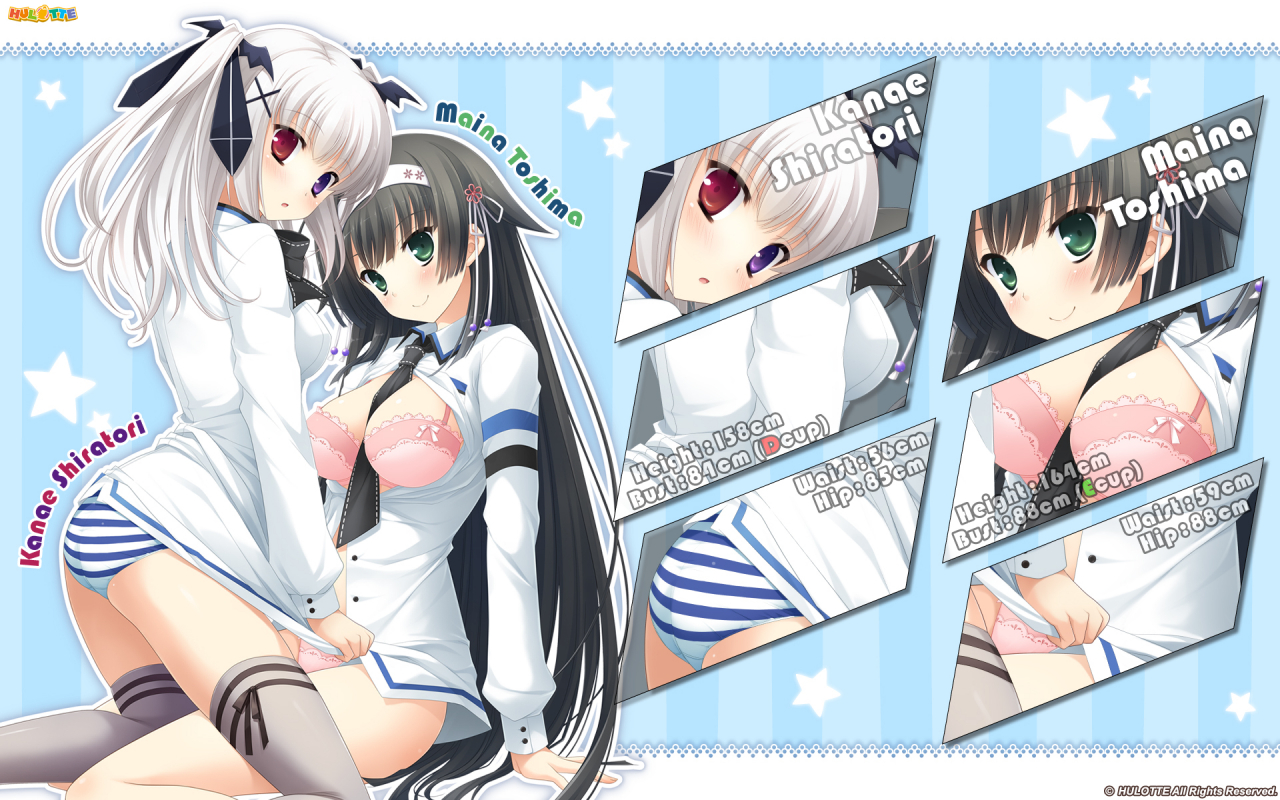 shiratori-kanaetoshima-maina