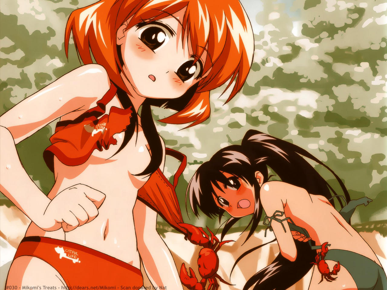 andou-mahoroandou-minawa