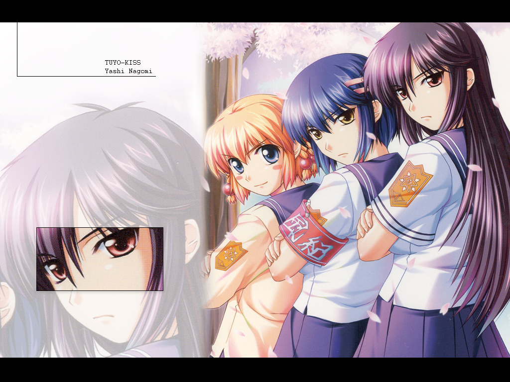 kanisawa-kinukurogane-otomeyashi-nagomi