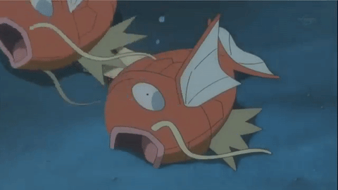 magikarp