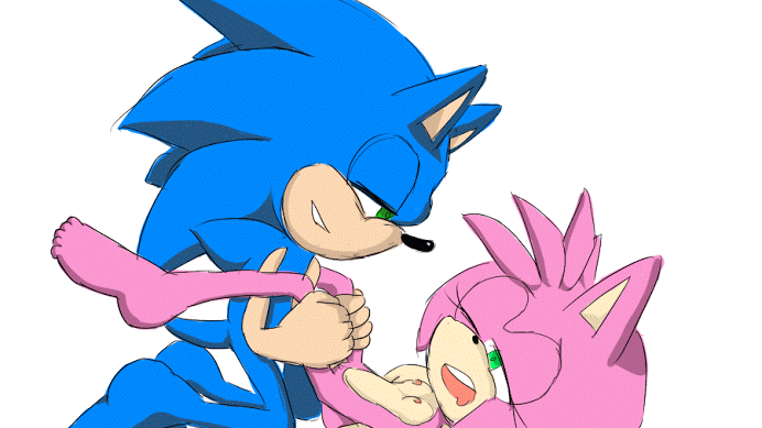amy-rosesonic-the-hedgehog