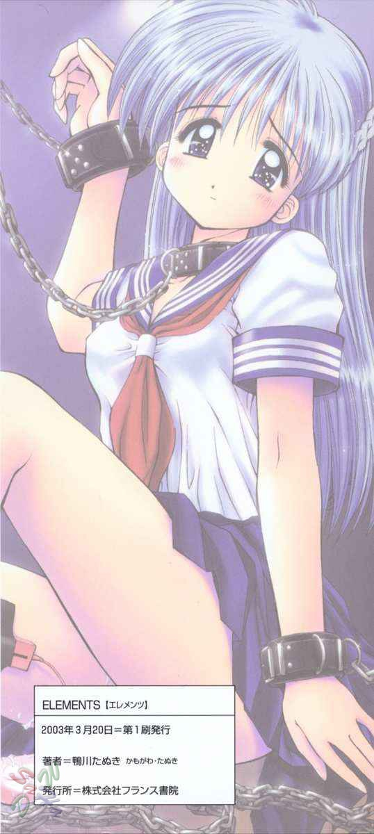 kamogawa-tanuki-elements-enghi-res