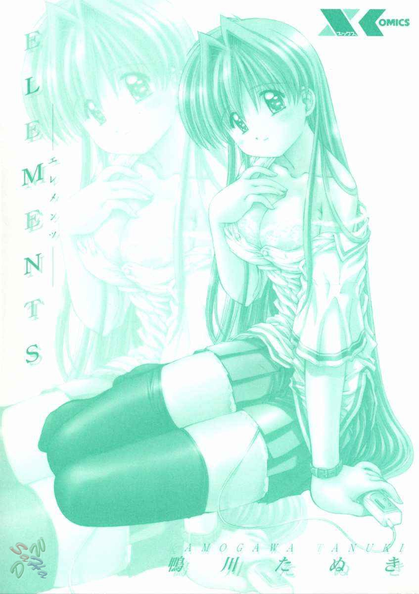 kamogawa-tanuki-elements-english-d-w