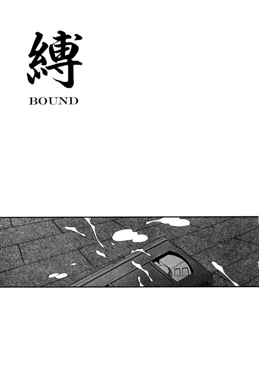 kamogawa-tanuki-innocence-english