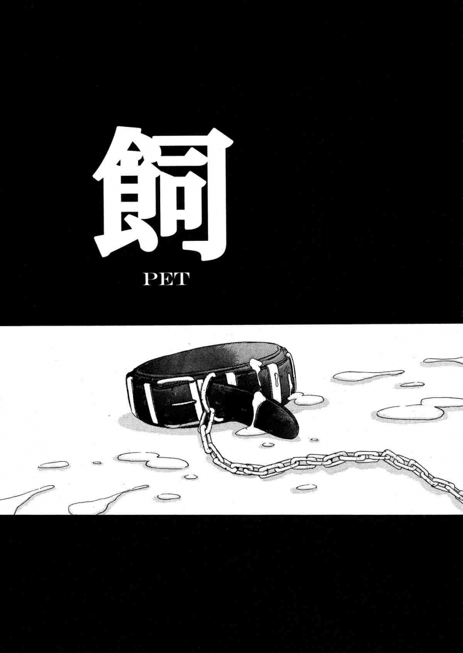 kamogawa-tanuki-innocence-english