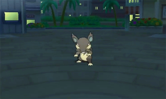 alolan-rattata