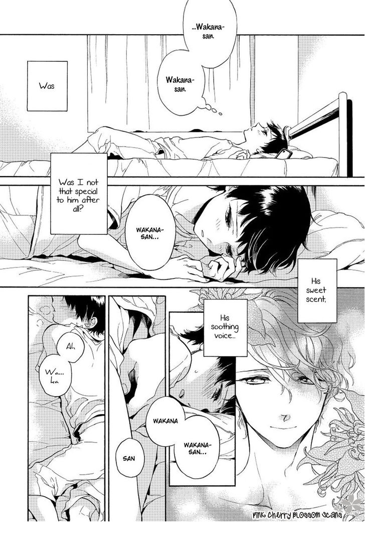 arai-yoshimi-afurete-shimau-my-heart-is-overflowing-english-pink-cherry-blossom-scans