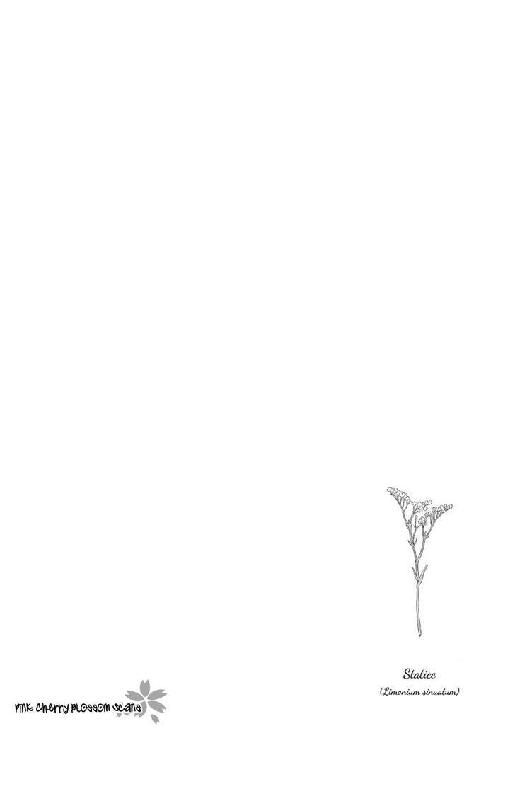 arai-yoshimi-afurete-shimau-my-heart-is-overflowing-english-pink-cherry-blossom-scans