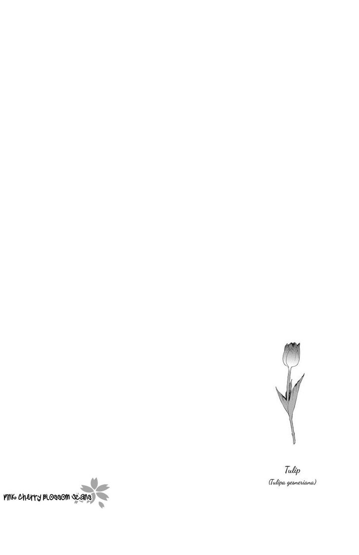 arai-yoshimi-afurete-shimau-my-heart-is-overflowing-english-pink-cherry-blossom-scans