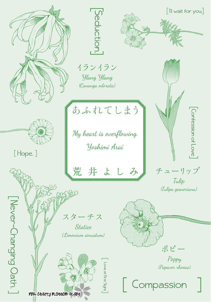 arai-yoshimi-afurete-shimau-my-heart-is-overflowing-english-pink-cherry-blossom-scans