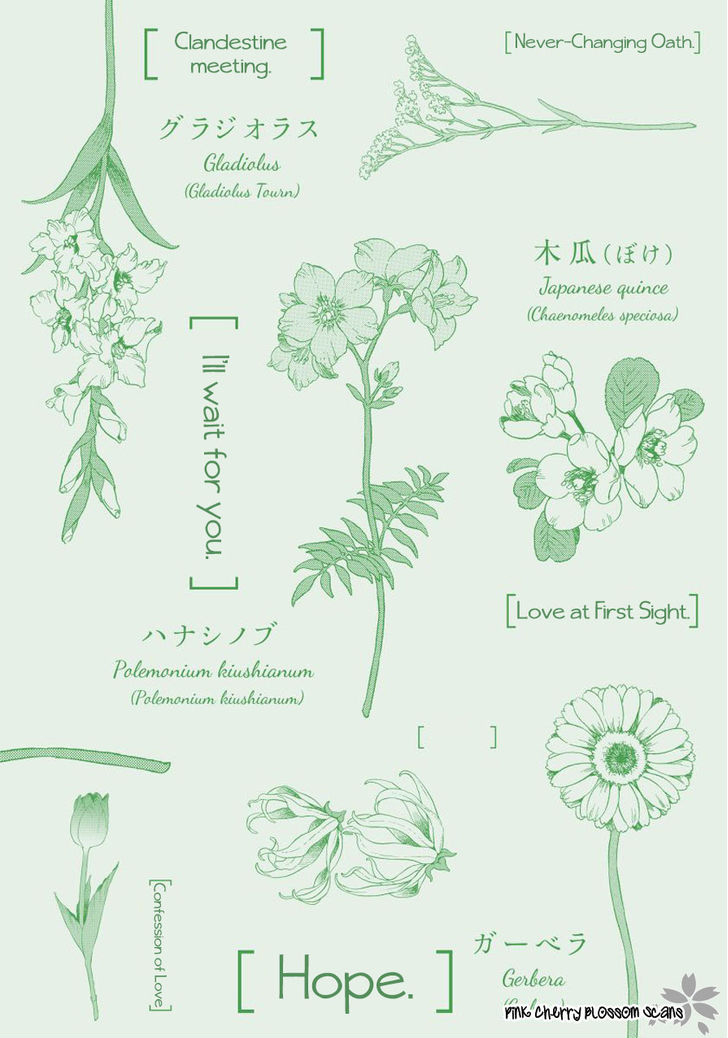 arai-yoshimi-afurete-shimau-my-heart-is-overflowing-english-pink-cherry-blossom-scans