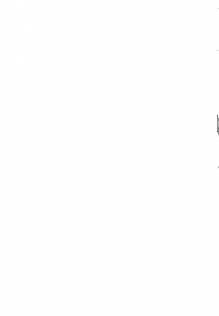 c90-aroma-gaeru-numahana-houmitsusen-paper-street-fighter