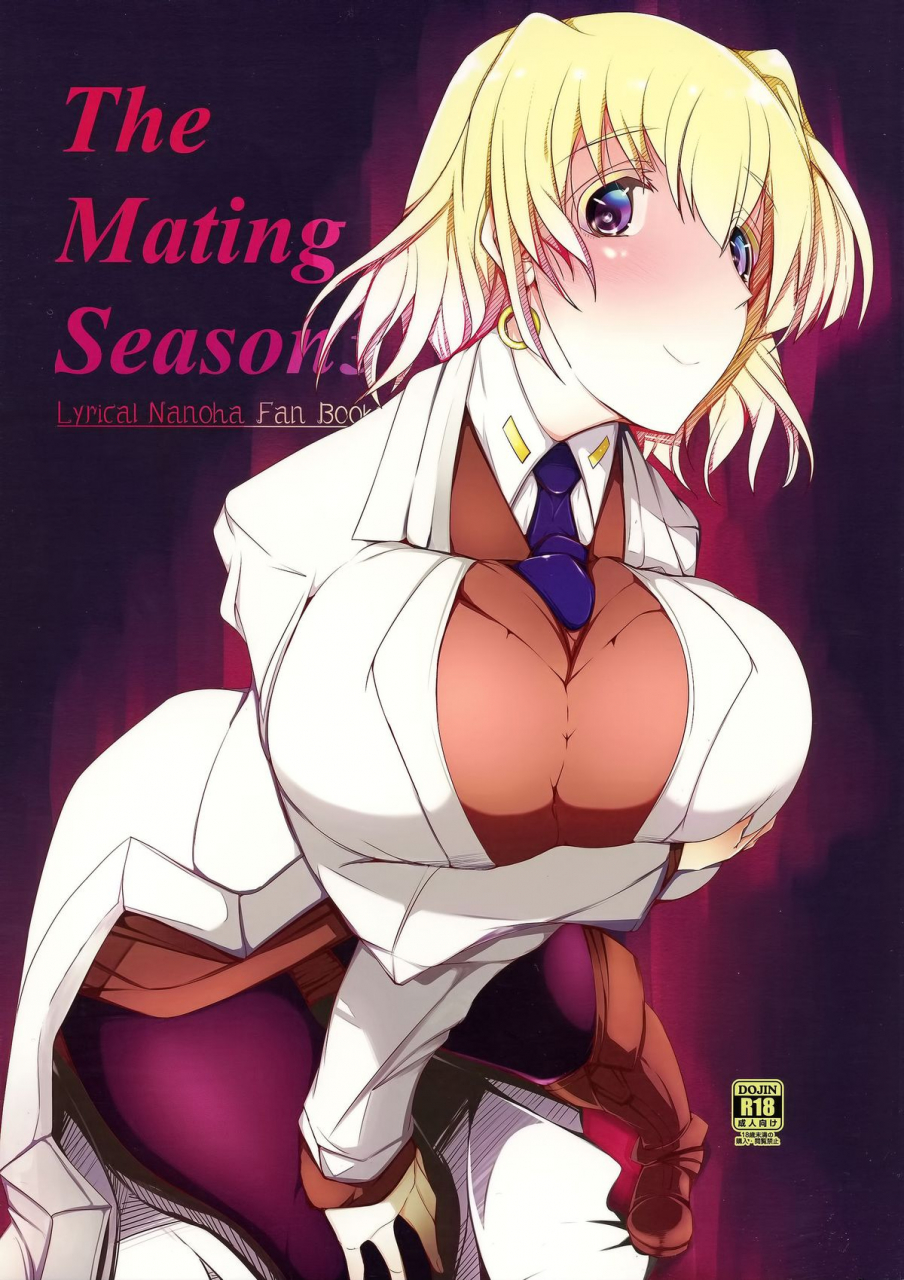 c86-eunoxline-u-1-the-mating-season3-magical-girl-lyrical-nanoha-english-tigoris