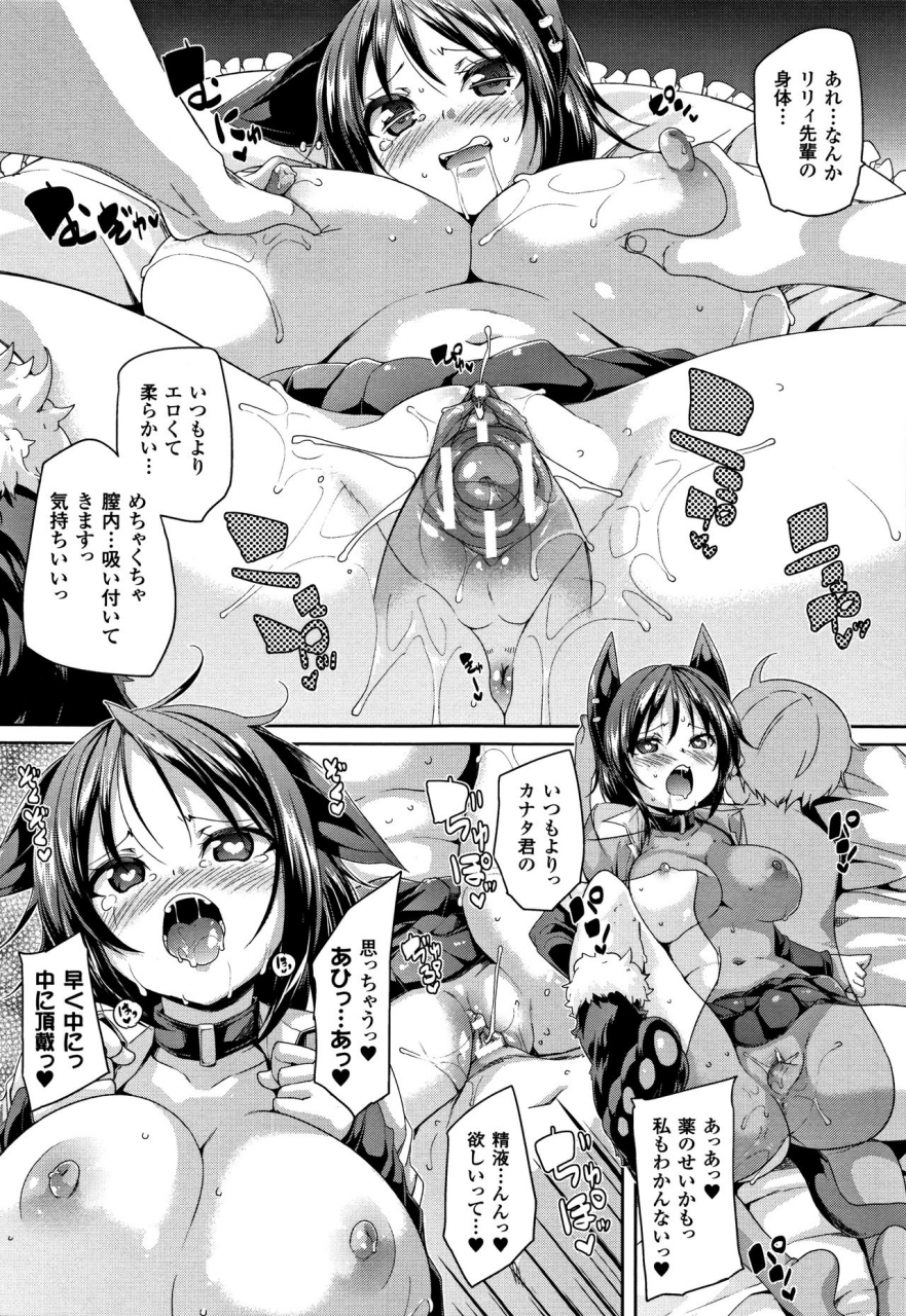 marui-maru-ran-drop-melonbooks-leaflet