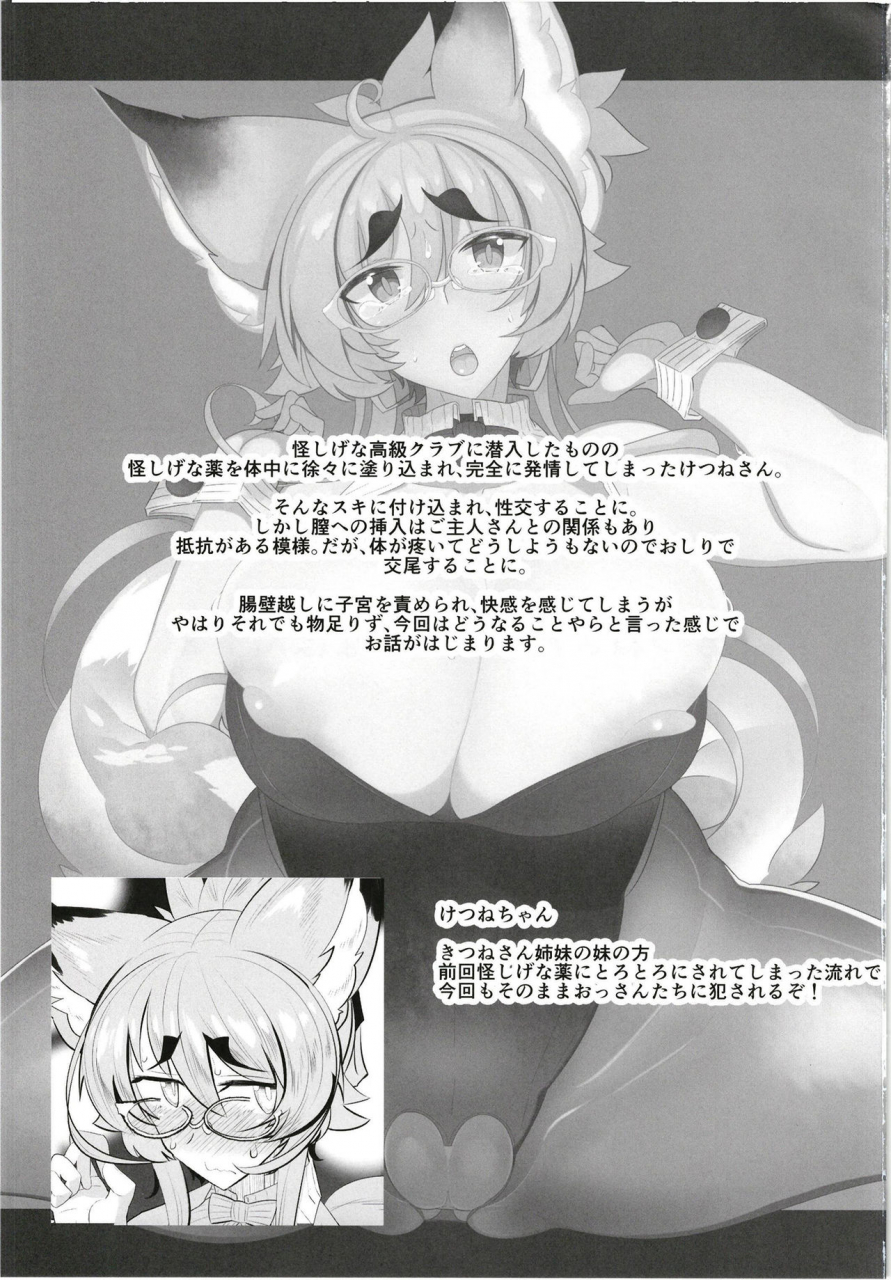 metro-notes-tsumetoro-kitsune-san-no-h-na-hon-12-digital