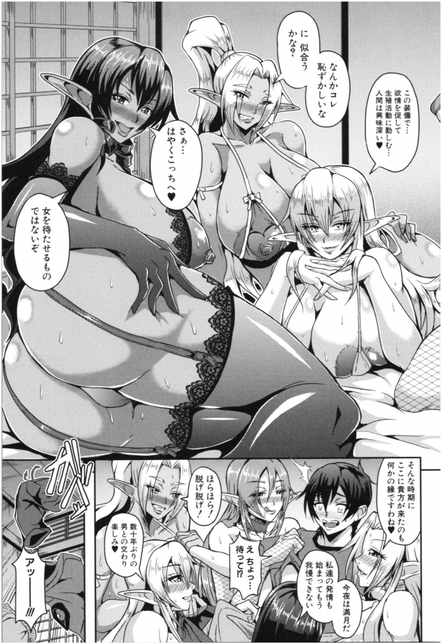 mifune-seijirou-elf-harem-monogatari-elf-harem-story