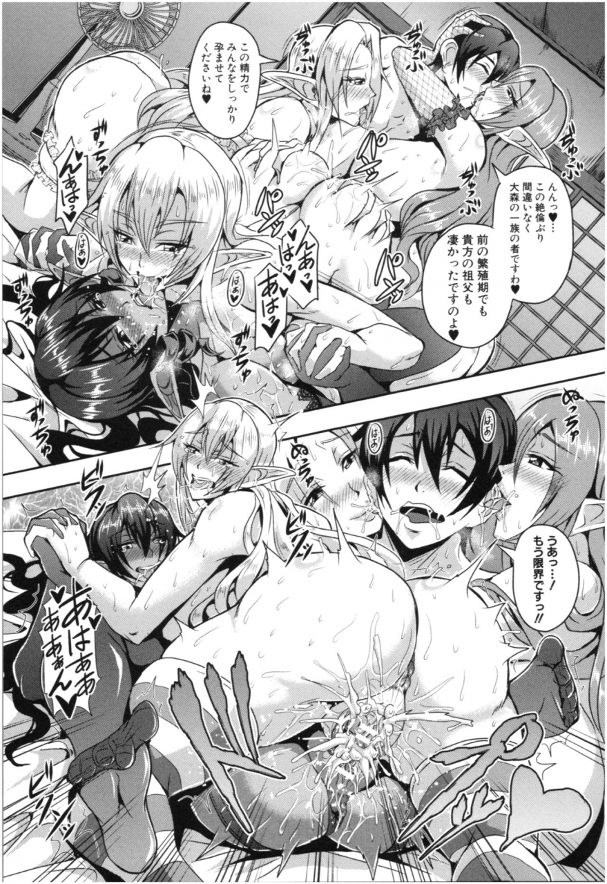 mifune-seijirou-elf-harem-monogatari-elf-harem-story