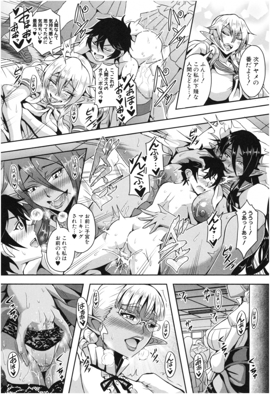 mifune-seijirou-elf-harem-monogatari-elf-harem-story