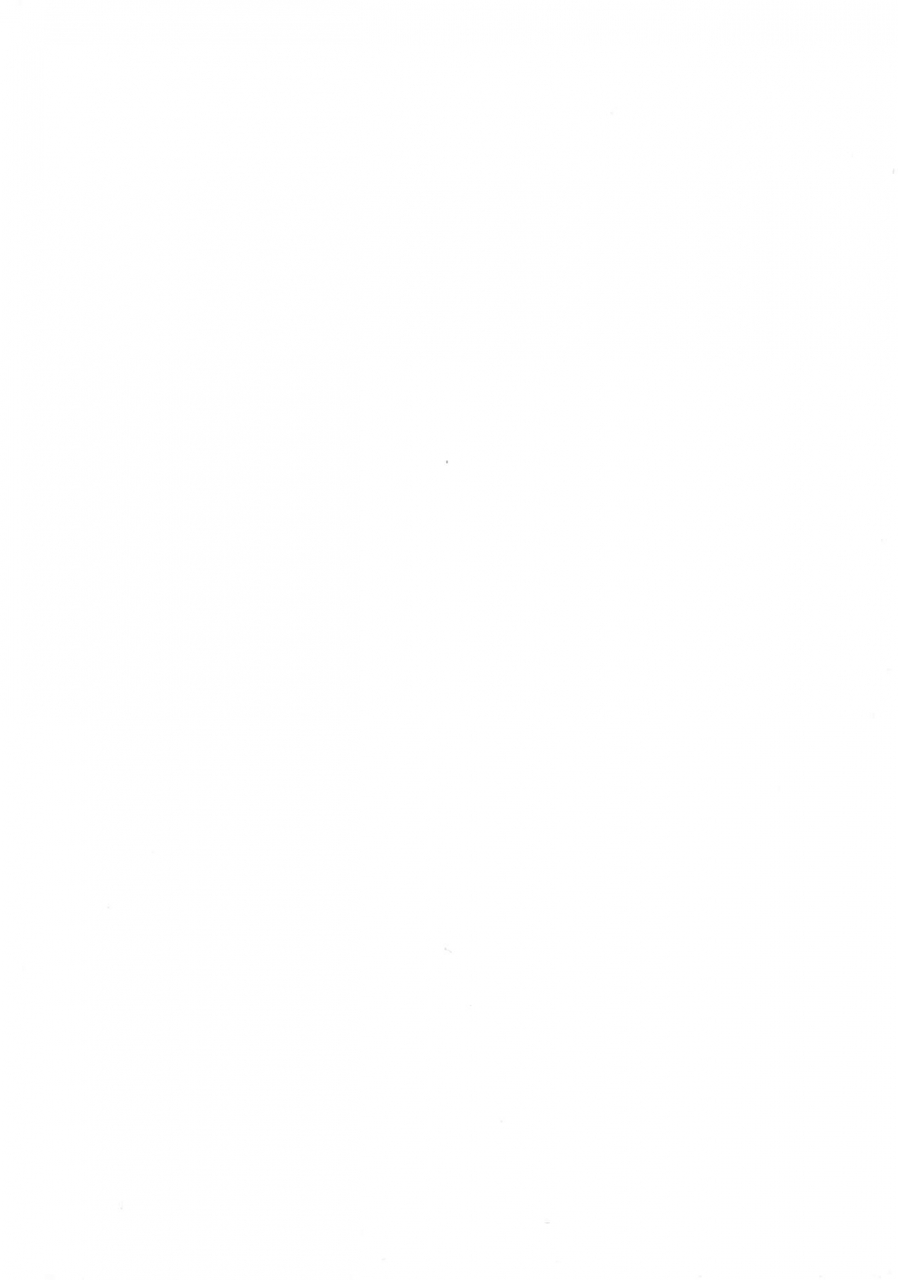 nagashima-chousuke-seireki-2200-nen-no-ota