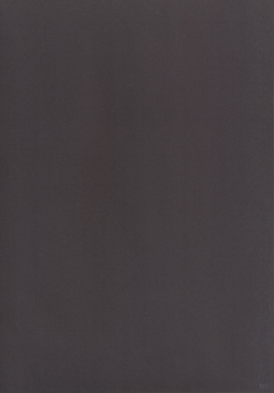 c86-right-away-sakai-minato-momoiro-senjutsu-touhou-project-english