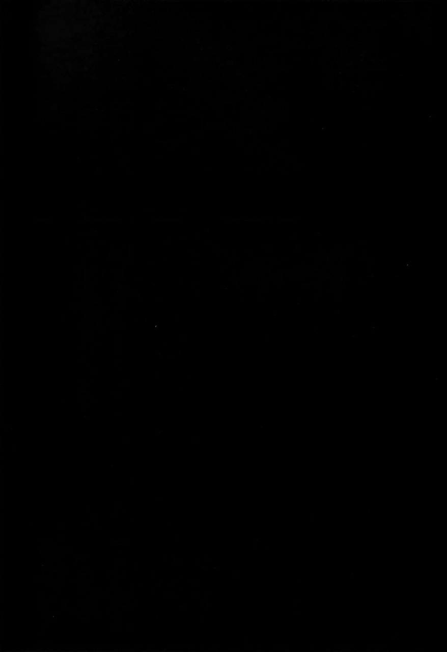 c87-dodo-fuguri-shindou-shota-teitoku-no-okusama-wa-kouwan-seiki-kantai-collection-kancolle-english