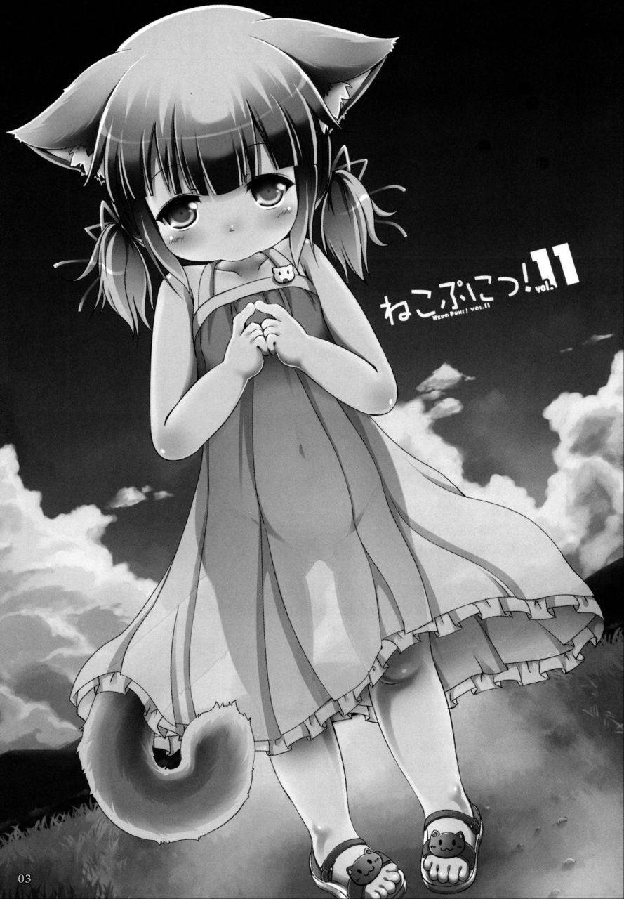 c87-cat-expert-nekousa-neko-puni-vol11-english-atf