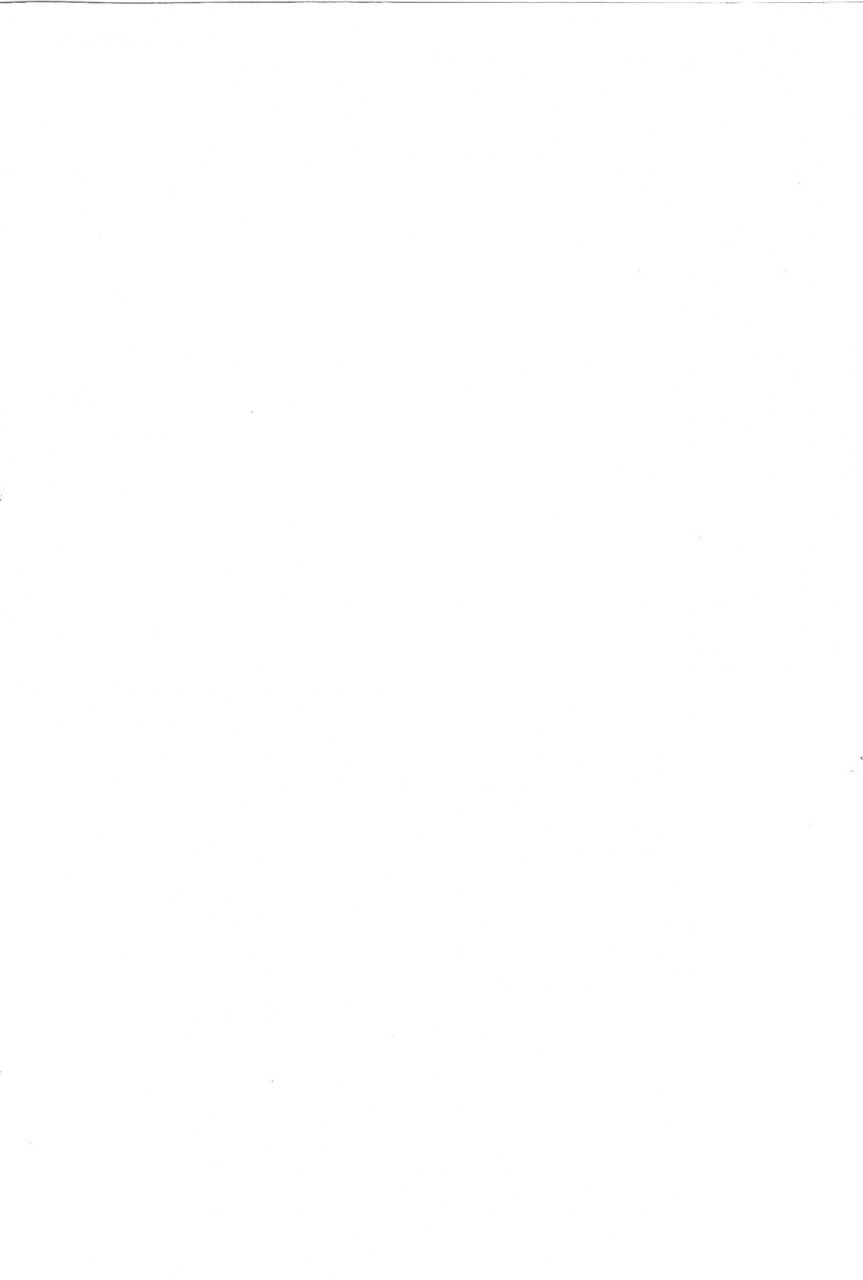 c88-amagi-ann-kan-balloon-persona-4-english-kuki-tan