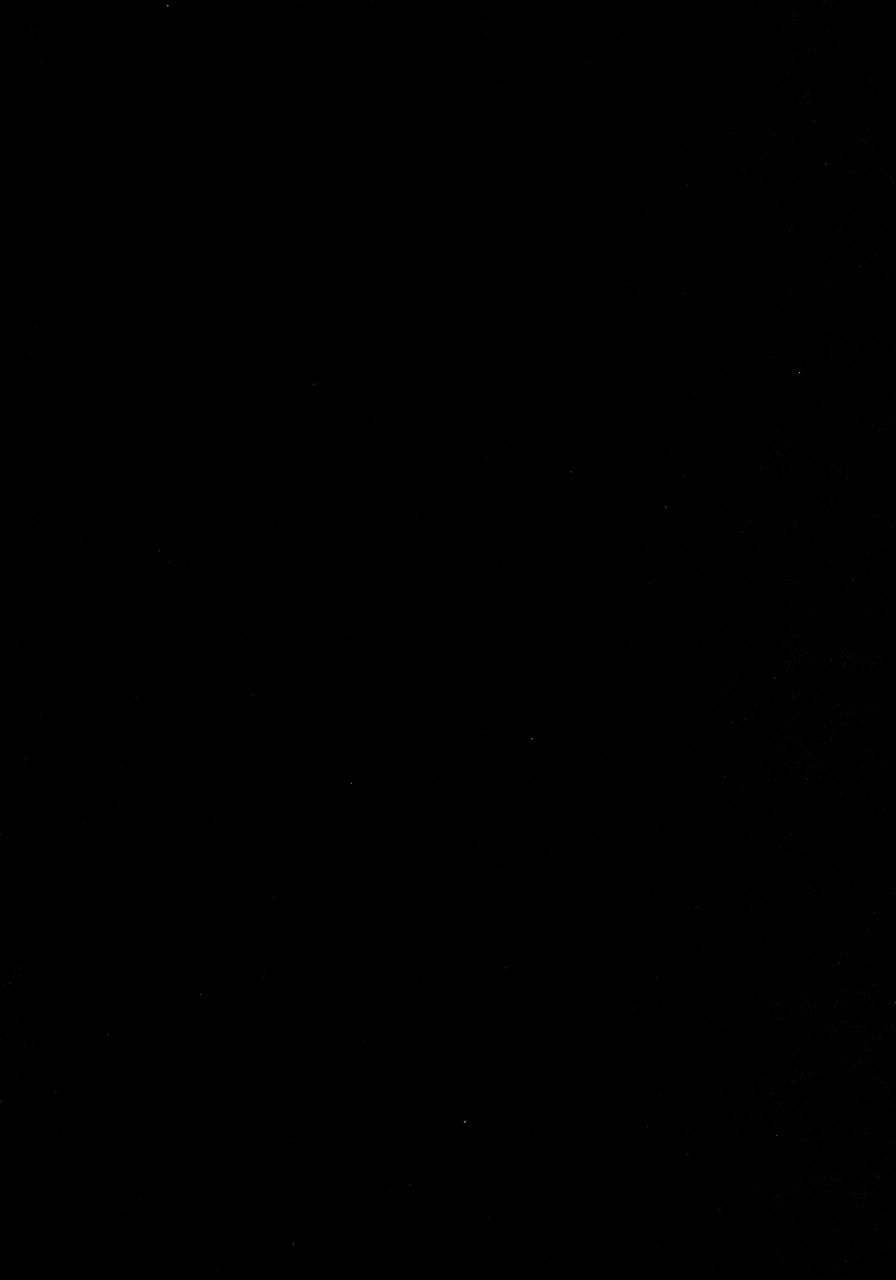 c88-iriomote-saryuu-kemophilia-english-biribiri