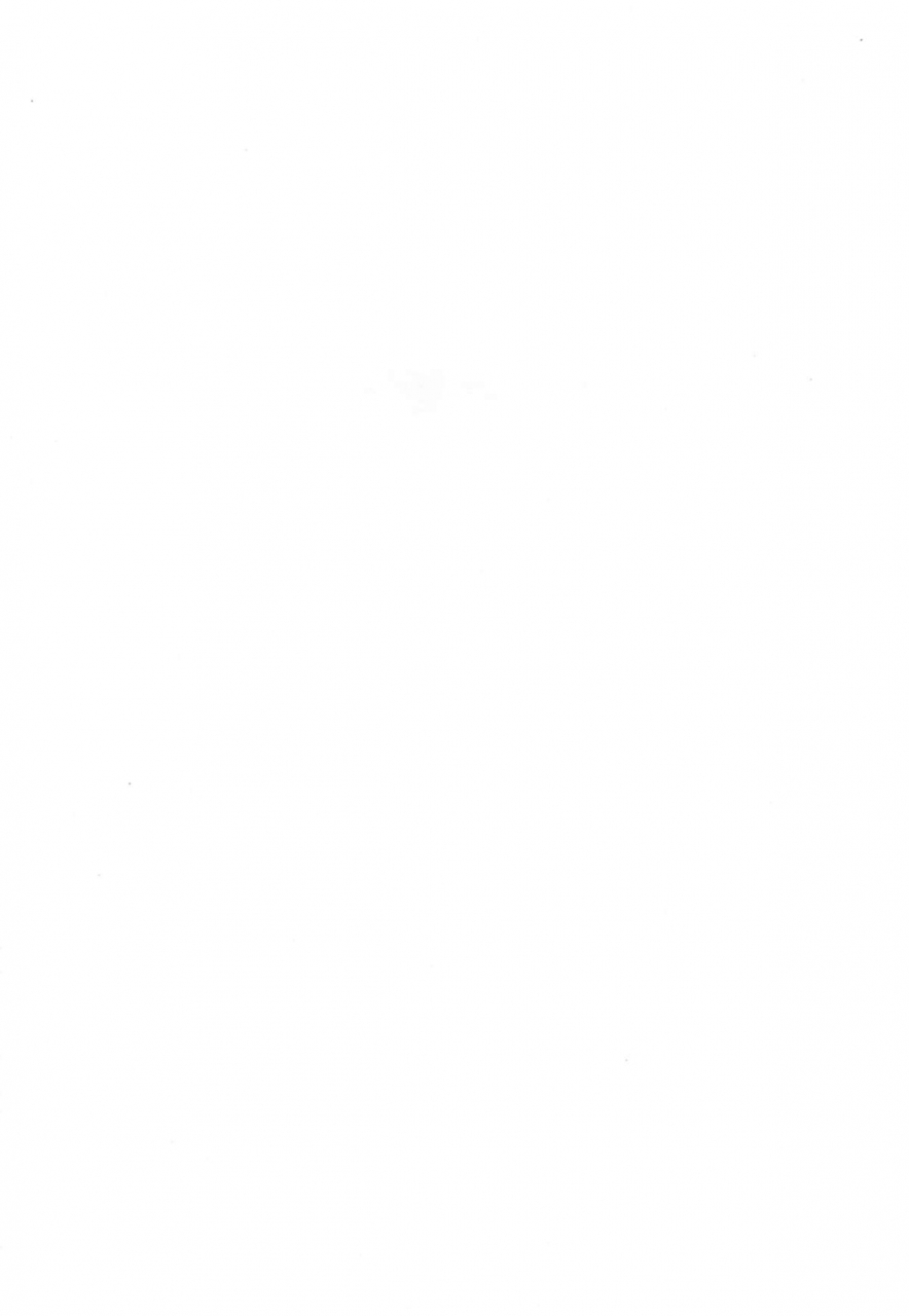 c88-maniac-street-sugaishi-hameai-pink-english-flatopia