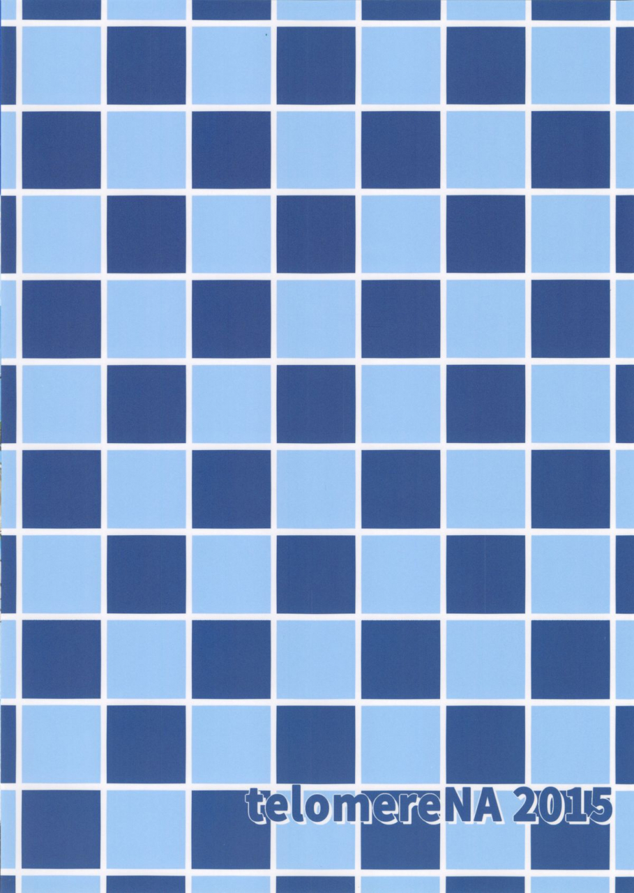 c88-telomerena-gustav-kouiuno-ga-sukinan-desuka-granblue-fantasy-english-ucw