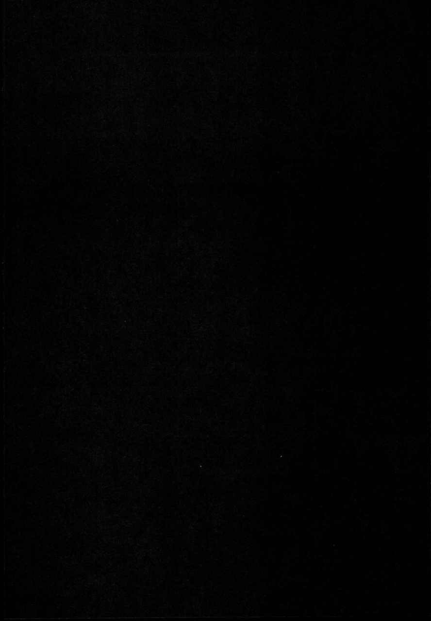 c89-rocket-chousashitsu-koza-koifla-dream-party-touhou-project-english-cgrascal