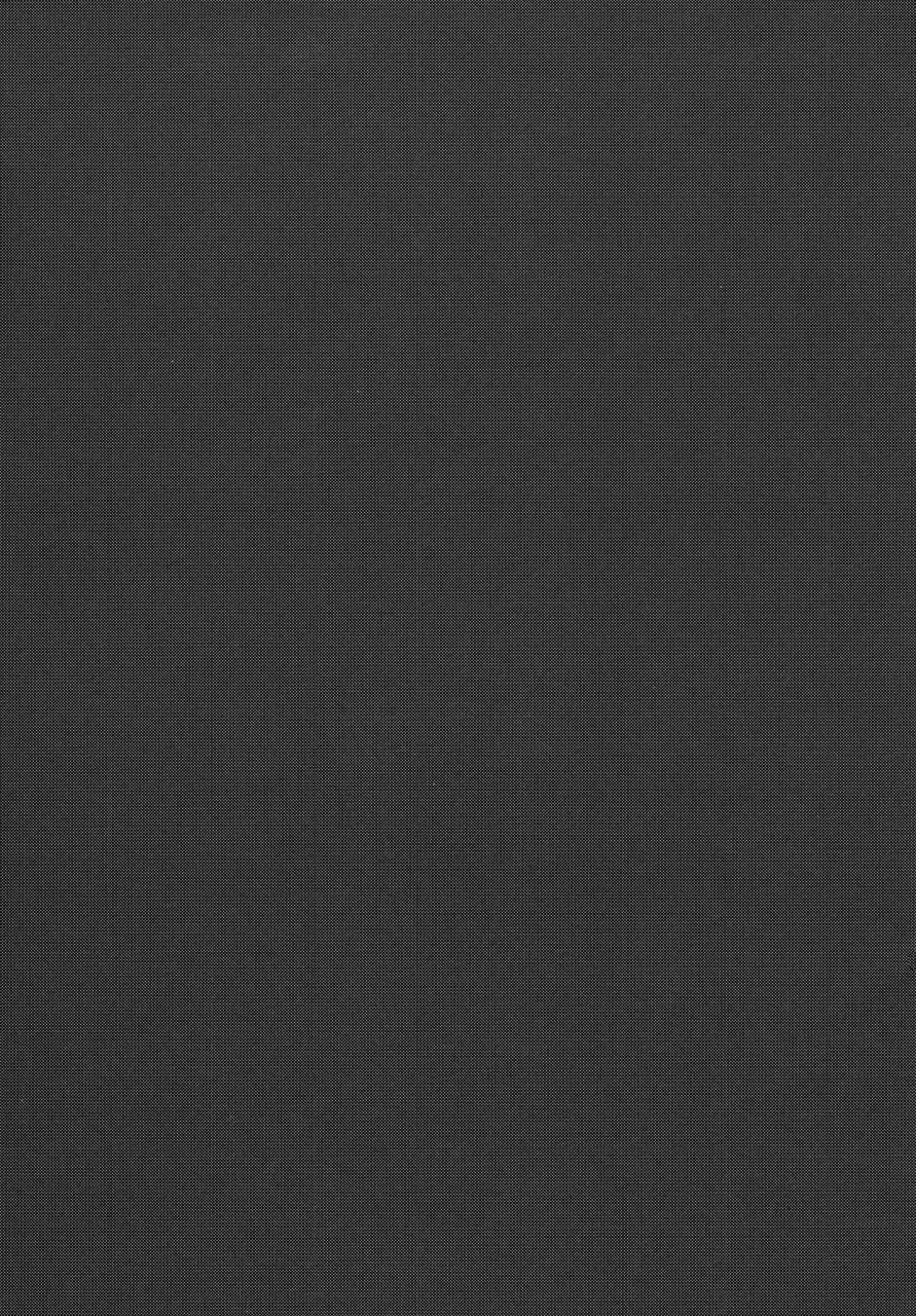 c89-yakiniku-teikoku-mgmee-ajiwau-tifa-no-ayers-rock-final-fantasy-vii-english-doujinscom