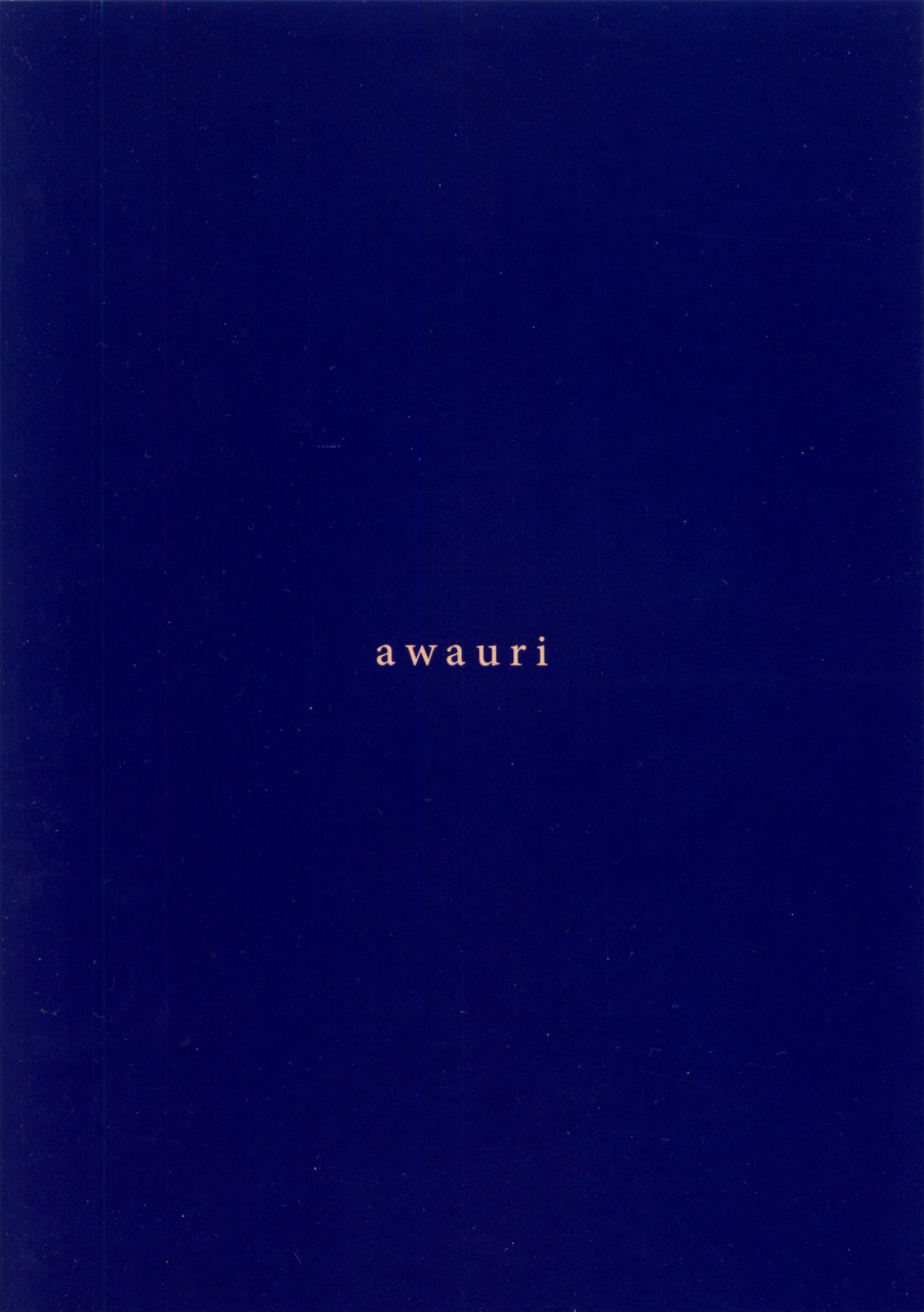 c90-awauri-ice-pax-2-english-tzdy