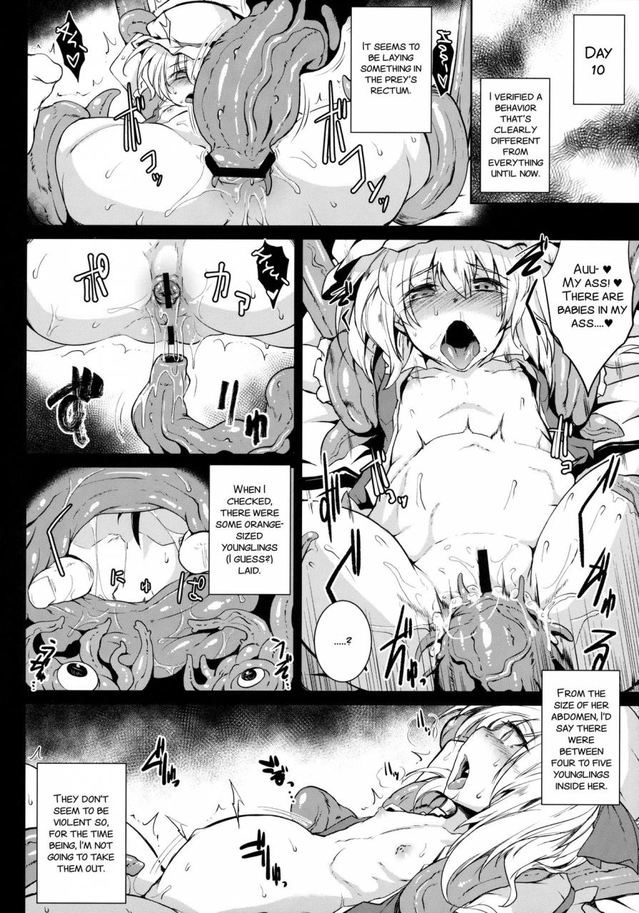 c91-megasoundorchestra-sanwaribiki-gensou-enkou-flandre-shoku-touhou-project-english-smdc